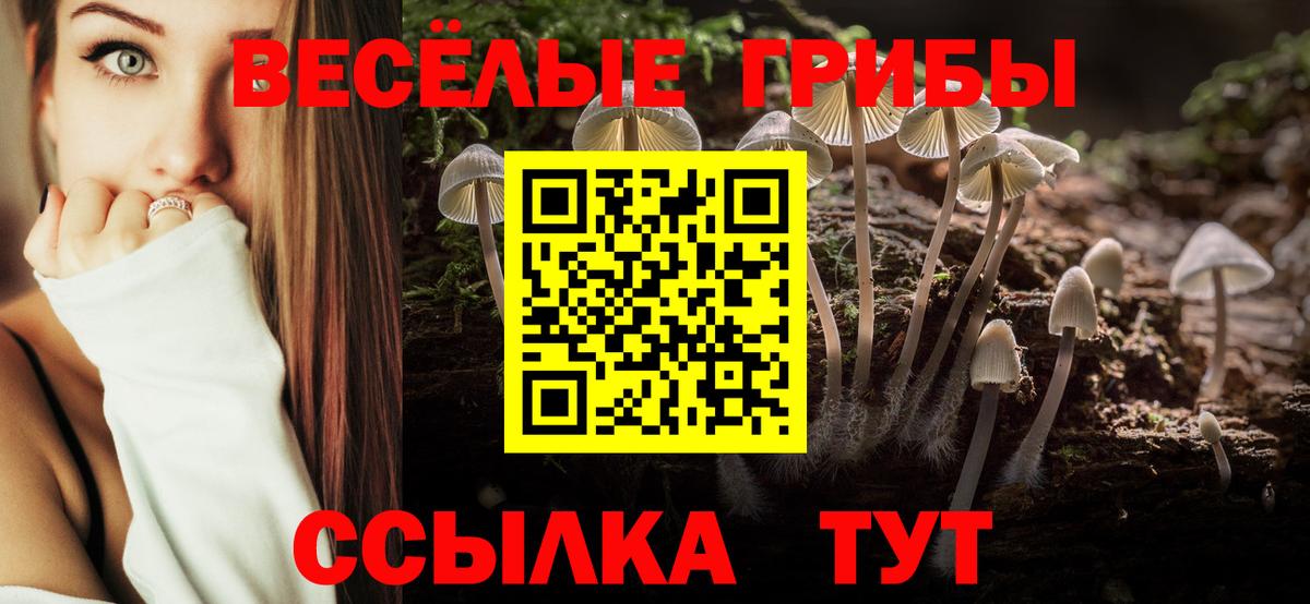 Новодвинск  Галлюциногенные грибы Magic Shrooms  хочу   Вход с VPN  Псилоцибиновые грибы Cubensis 