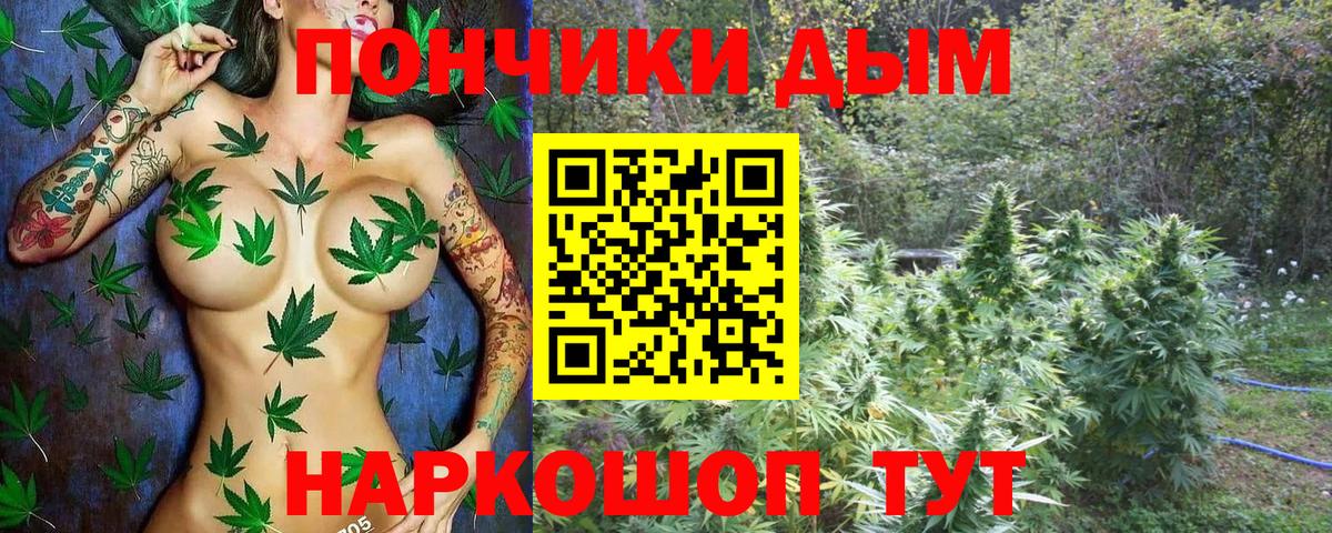 ГАШ Новодвинск